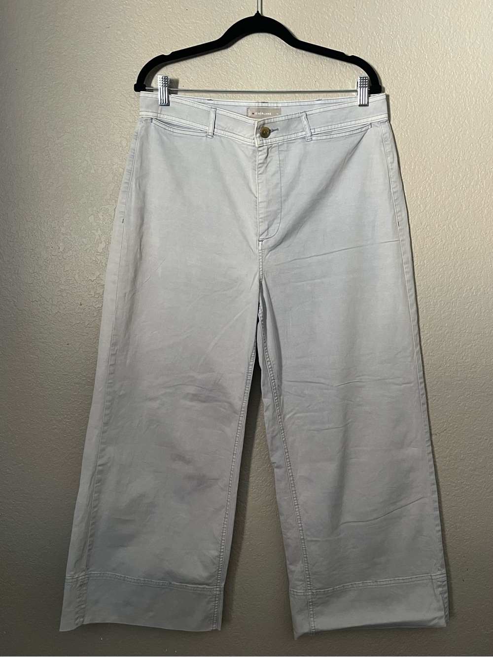 Everlane Wide-Leg Crop Pant Size 14 Light Blue